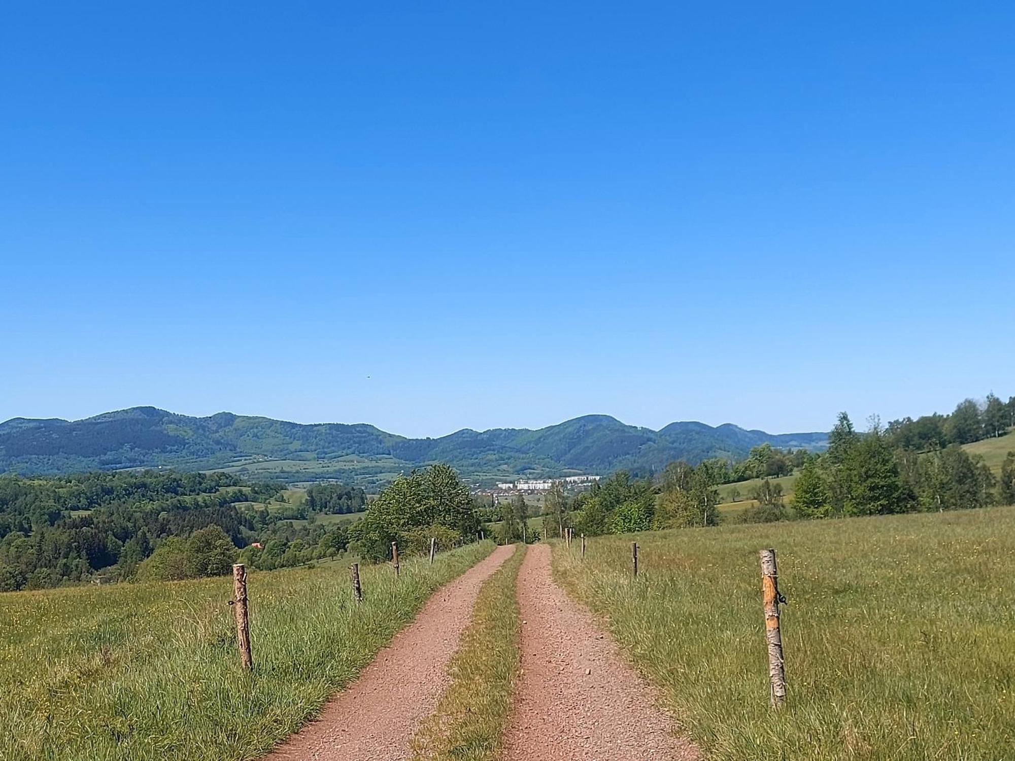 Apartment Slaski 46m, Ksiaz Kuchnia Klimatyzacja Wifi Parking
